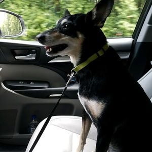 Meet your Posher, Britt